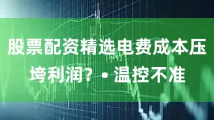 股票配资精选电费成本压垮利润？• 温控不准