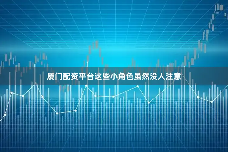 厦门配资平台这些小角色虽然没人注意