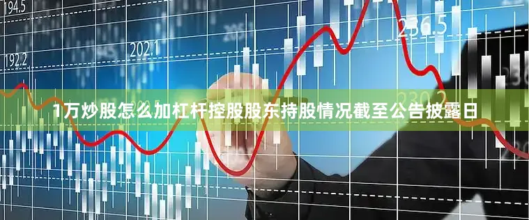 1万炒股怎么加杠杆控股股东持股情况截至公告披露日